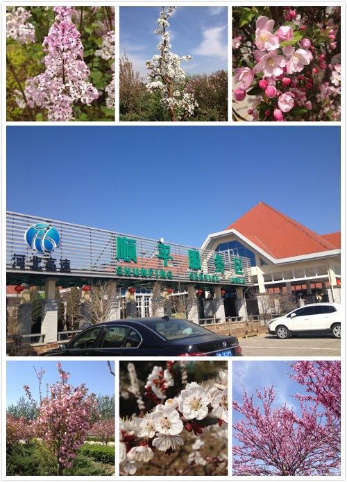 未命名_meitu_0_meitu_1.jpg 未命名_meitu_0_meitu_1.jpg