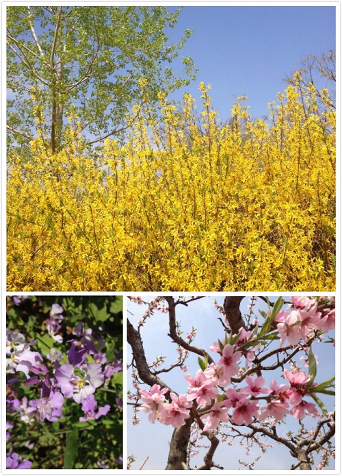 未命名_meitu_02.jpg 未命名_meitu_02.jpg