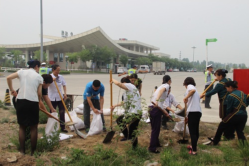 IMG_0175.jpg IMG_0175.jpg