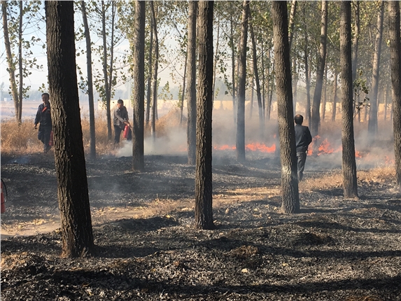 C:\Users\Administrator\Pictures\6367642729017711406981911.jpg C:\Users\Administrator\Pictures\6367642729017711406981911.jpg