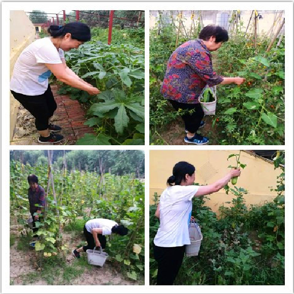 C:\Users\Administrator\Pictures\QQ截圖20190731093041.png C:\Users\Administrator\Pictures\QQ截圖20190731093041.png