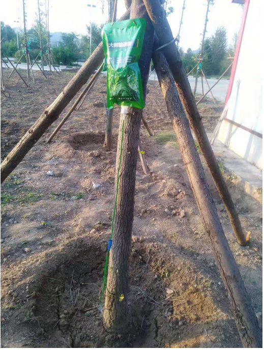 C:\Users\Administrator\Pictures\QQ截圖20190902151304.png C:\Users\Administrator\Pictures\QQ截圖20190902151304.png