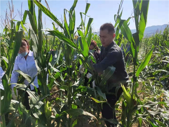 C:\Users\Administrator\Pictures\6370327360417318347807519.jpg C:\Users\Administrator\Pictures\6370327360417318347807519.jpg