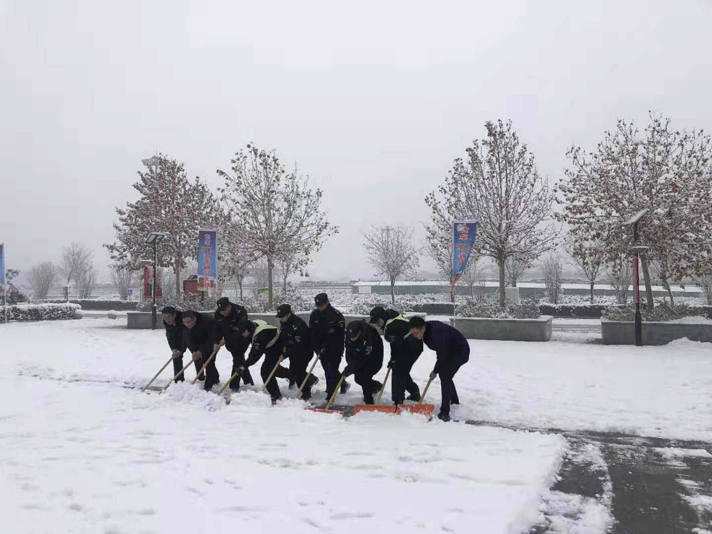 IMG_6462(20200106-195317).JPG IMG_6462(20200106-195317).JPG