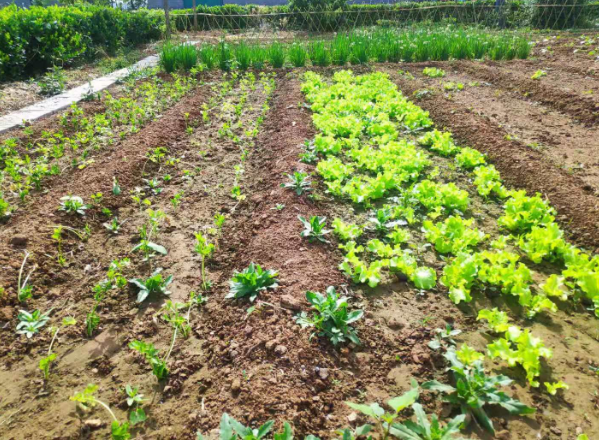 C:\Users\Administrator\Videos\QQ截圖20210716091133.png C:\Users\Administrator\Videos\QQ截圖20210716091133.png