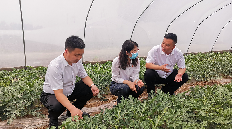 C:\Users\86183\Desktop\1683888468426.png C:\Users\86183\Desktop\1683888468426.png